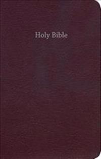 CEB Common English Bible Gift & Award Burgundy Red Letter Ed