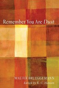 Bokomslag for "Remember You Are Dust"