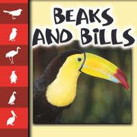Let's Look At Animals