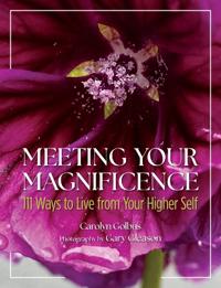 MEETING YOUR MAGNIFICENCE