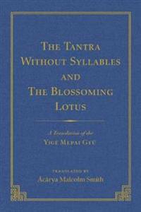 The Tantra Without Syllables (Volume 3) and The Blazing Lamp Tantra (Volume 4)