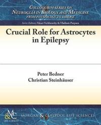 Crucial Role for Astrocytes in Epilepsy