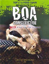 Boa Constrictor