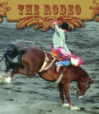 All About The Rodeo