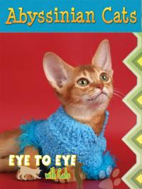 Eye To Eye With Cats