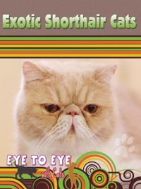 Eye To Eye With Cats