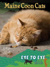 Eye To Eye With Cats