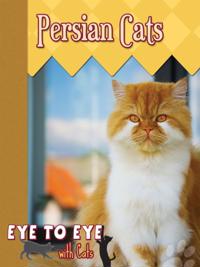 Eye To Eye With Cats