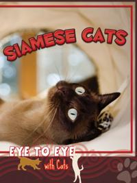 Eye To Eye With Cats