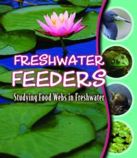 Studying Food Webs