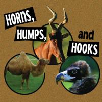 What Animals Wear