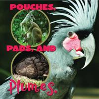 What Animals Wear