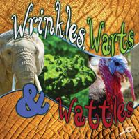 What Animals Wear
