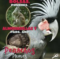 What Animals Wear