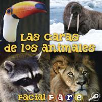 What Animals Wear