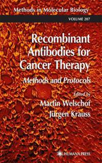Recombinant Antibodies for Cancer Therapy
