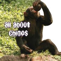 Animal Board Books