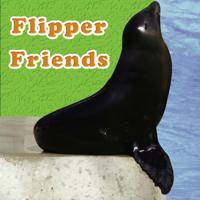 Animal Board Books