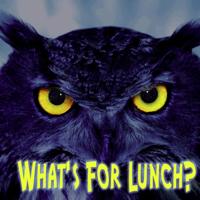 Animal Board Books