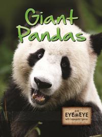 Eye To Eye With Endangered Species
