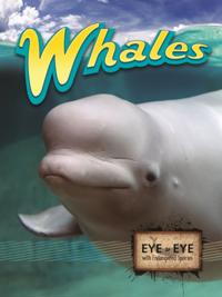 Eye To Eye With Endangered Species