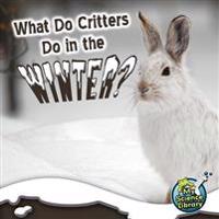 What Do Critters Do In The Winter?