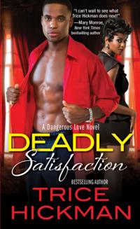 A Dangerous Love Novel