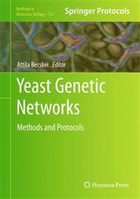 Yeast Genetic Networks