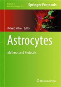 Astrocytes