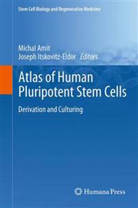 Atlas of Human Pluripotent Stem Cells
