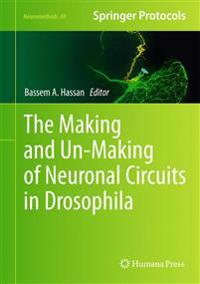 The Making and Un-Making of Neuronal Circuits in Drosophila