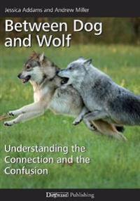 Bokomslag för Between Dog and Wolf