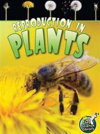 Reproduction In Plants