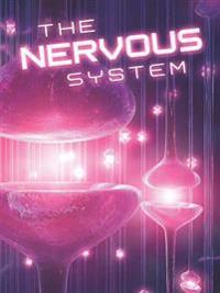 Nervous System