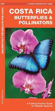 Costa Rica Butterflies & Pollinators