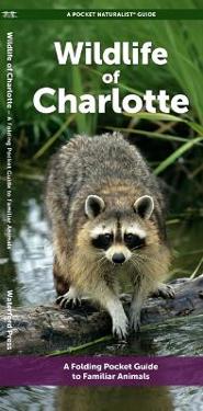 Wildlife of Charlotte