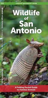 Wildlife of San Antonio