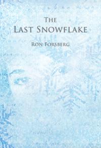 Last Snowflake