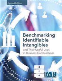 Benchmarking Identifiable Intangibles and Their Useful Lives in Business Combinations, Second Edition