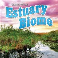 Seasons Of The Estuary Biome