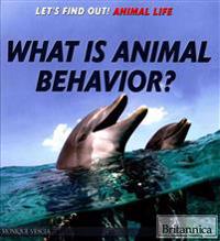 What Is Animal Behavior?