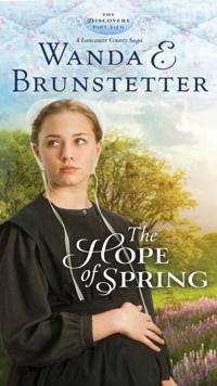 The Discovery - A Lancaster County Saga