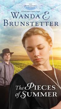 The Discovery - A Lancaster County Saga