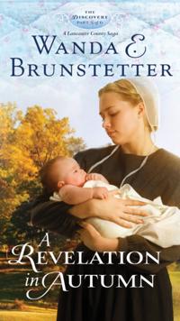 The Discovery - A Lancaster County Saga