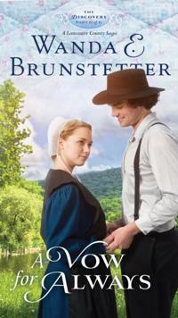 The Discovery - A Lancaster County Saga