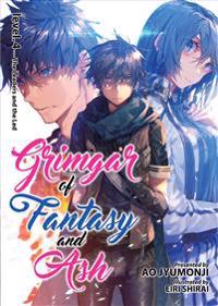Grimgar of Fantasy and Ash: Light Novel Vol. 4