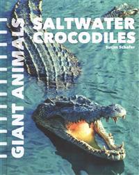 Saltwater Crocodiles