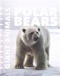 Polar Bears