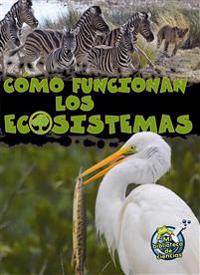 Como funcionan los ecosistemas