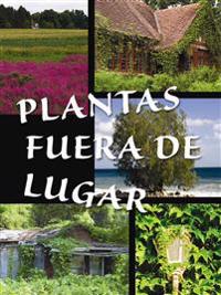 Plantas fuera de lugar